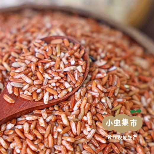 【2025秋收新米】生态小麻红米 500g/袋 | 合作农友生产，产自贵州黎平洋洞村，生产者:杨邦荣 &【公平贸易农人定价】 商品图5
