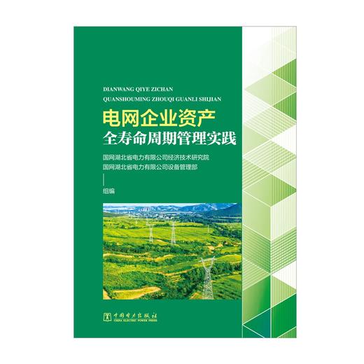 电网企业资产全寿命周期管理实践 商品图1