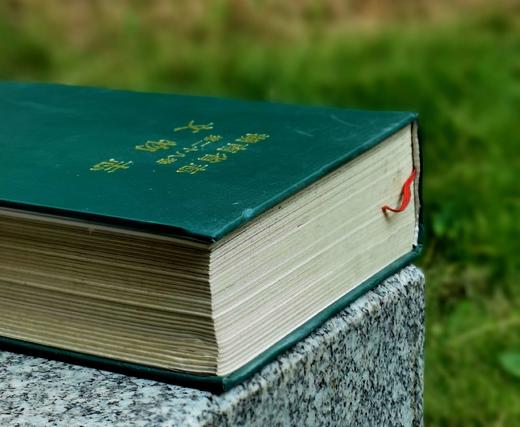 《湖南省志 文物志》，精装，32开，湖南省地方志编纂委员会编，侯良主编，湖南出版社1995年一版一印，950页，售价55元。 商品图3