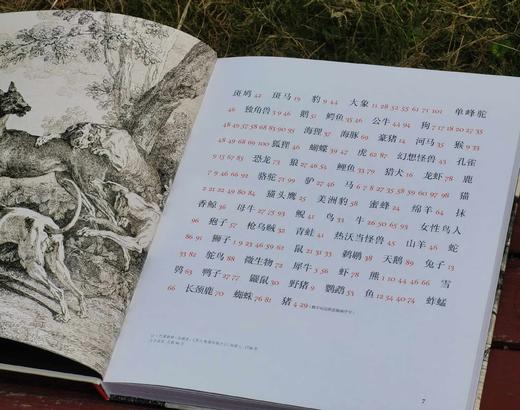 《动物凶猛：版画博物馆里的奇兽》，12开精装，铜版彩印，[法]雷米 马蒂斯著，北京联合出版公司2021年一版一印，167页，定价188，售价66元。 商品图2