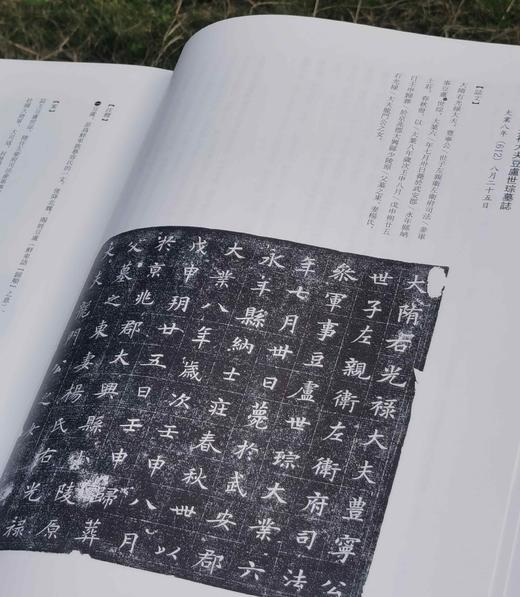 《石墨镌华：关中民俗艺术博物院收藏碑志集释》，8开，精装，何如月著，陕西师范大学出版社2023年12月一版一印，333页，定价498元，售价228元。 商品图5