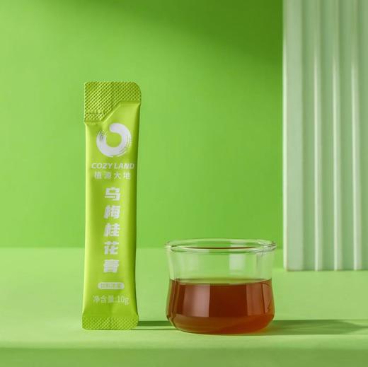 乌梅桂花膏 30袋 植萃 商品图2