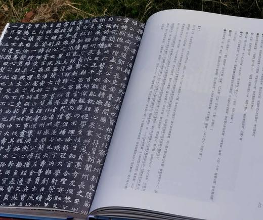 《石墨镌华：关中民俗艺术博物院收藏碑志集释》，8开，精装，何如月著，陕西师范大学出版社2023年12月一版一印，333页，定价498元，售价228元。 商品图11