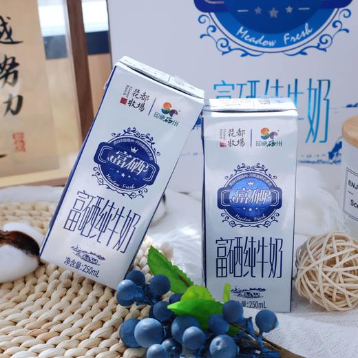 【富有套餐】贵州特产山花富硒纯牛奶12盒有机纯牛奶12盒礼盒装贵州老字号 商品图2
