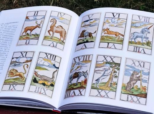 《动物凶猛：版画博物馆里的奇兽》，12开精装，铜版彩印，[法]雷米 马蒂斯著，北京联合出版公司2021年一版一印，167页，定价188，售价66元。 商品图12