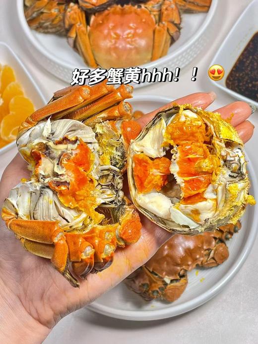 📣【活蟹现货🦀生鲜精选】💥2两母8只装仅需218💰【蟹太太🦀礼盒💝】来袭！巨划算❗秋天最销魂的一口已经到来，一线明星黄晓明倾情代言🏅✅蟹太太大闸蟹，蟹香四溢，膏黄诱人 商品图3