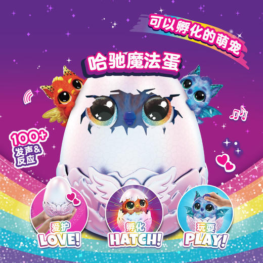 斯平马斯特Spin Master  哈驰魔法蛋-诞生系列神秘版 商品图2