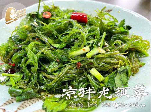 海宴壹品0添加0脂海菜系列[鞭炮笋，龙须菜，海灵芝][深海采摘食材]可凉拌热炒火锅家中常备宴请好礼相送 商品图5