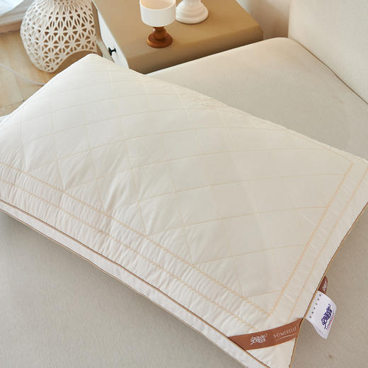 【春上新】10楼 安睡宝 双面复合蚕丝枕48×74cm  吊牌价1198元/对 活动价299元/对 商品图2