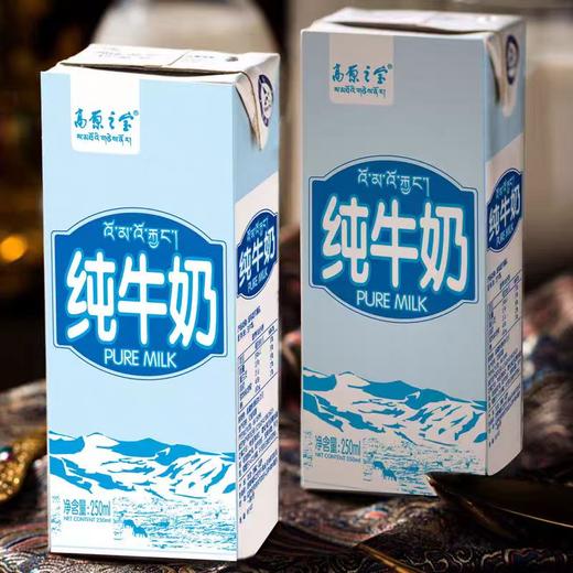 【高原之宝】纯牛奶250毫升*12盒整箱学生早餐奶拉萨产地纯牛奶 商品图2