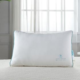 【远梦】抗菌舒爽酒店枕