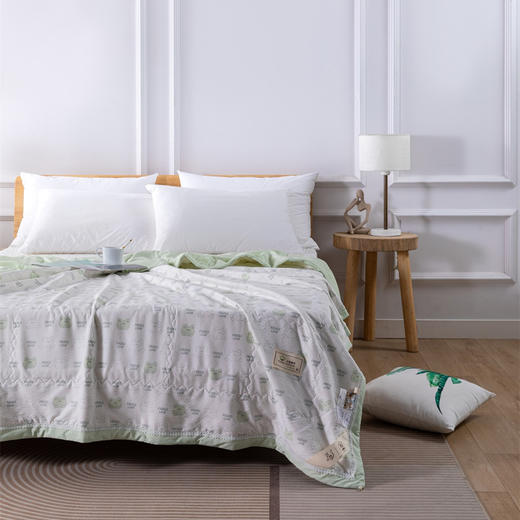 【远梦】生态棉花水洗夏被 商品图3