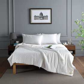 【远梦】质璞慵懒棉花四季被