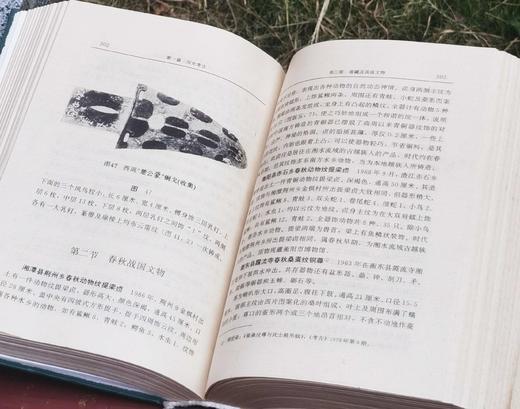 《湖南省志 文物志》，精装，32开，湖南省地方志编纂委员会编，侯良主编，湖南出版社1995年一版一印，950页，售价55元。 商品图12