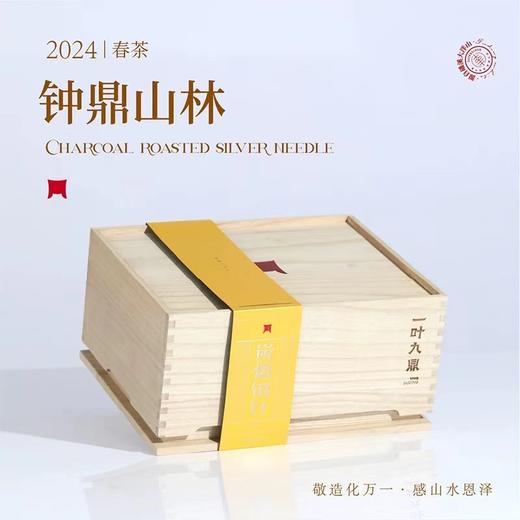 福鼎白茶 | 2024年一叶九鼎  大洋山头采银针 500g/盒 商品图1