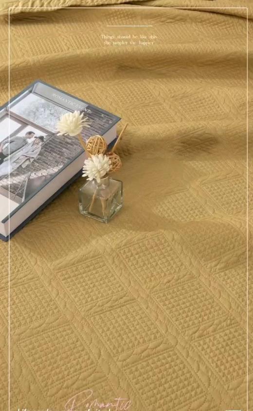 知庭纯净优毯230x250cm 商品图0