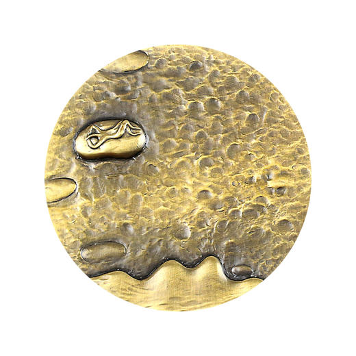 《不变的风景》纪念章--云间铜章 商品图4