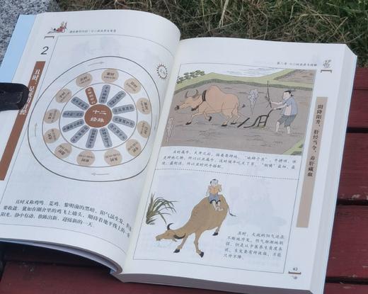 《漫画黄帝内经》，16开平装，马寅中著，华龄出版社2024年一版五印，564页，定价168元，售价65元。 商品图9