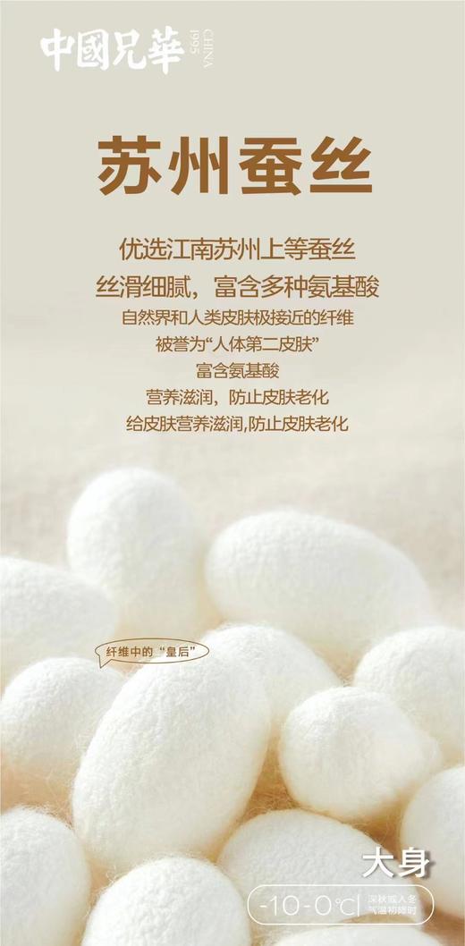 背心衬裤兄华温泉养肤无痕圆领 商品图4