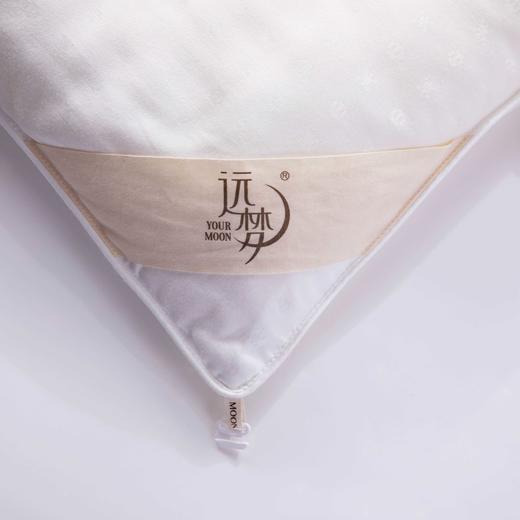 【远梦】植选大豆抗菌冬被 商品图7