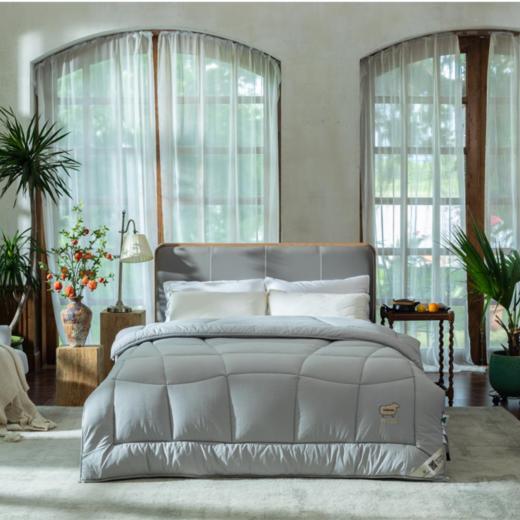 【远梦】澳洲羊毛双层芯四季被 商品图2