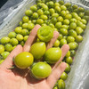 青甜小番茄 商品缩略图5