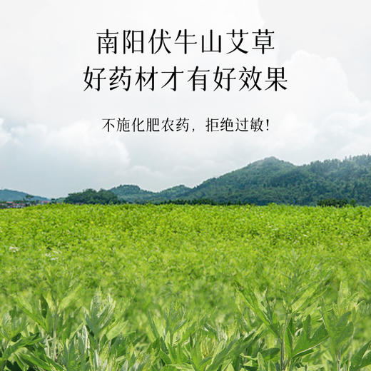 【会员专享】后辰三好艾足贴 商品图2