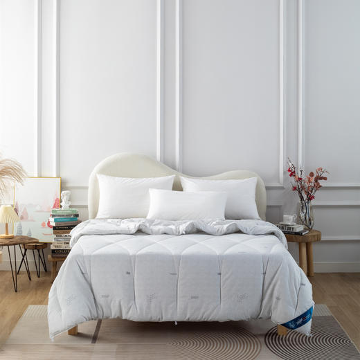 【远梦】亲水恒适暖阳冬被 商品图0