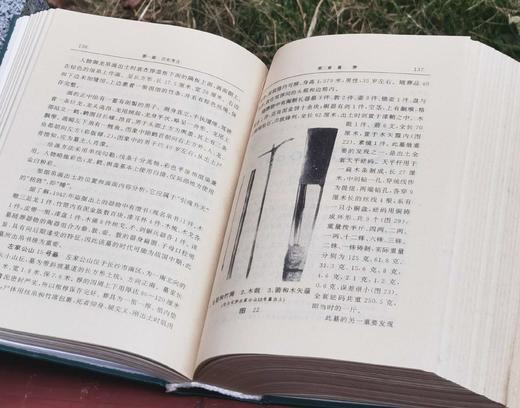 《湖南省志 文物志》，精装，32开，湖南省地方志编纂委员会编，侯良主编，湖南出版社1995年一版一印，950页，售价55元。 商品图14