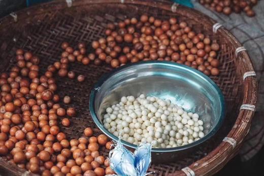 苏州的鸡头米是顶尖儿的，而苏州又要数城南黄天荡出产的尤佳！每年上市季，沿街剥鸡头米是葑门一道独特风景。精选的又是特级大果，真空密封冷鲜包装，颗颗珍珠般洁白浑圆，生吃都甜甜的，煮熟了软糯Q弹，绵香悠长～ 商品图3