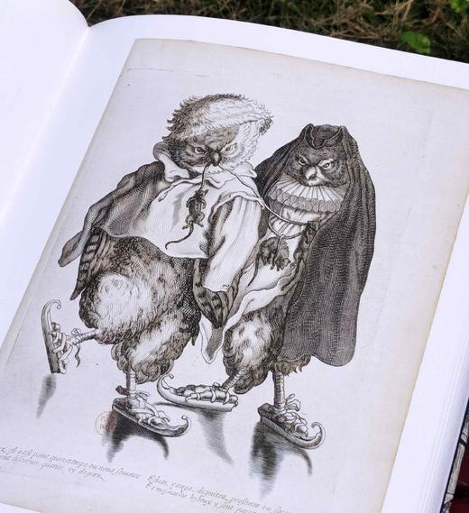 《动物凶猛：版画博物馆里的奇兽》，12开精装，铜版彩印，[法]雷米 马蒂斯著，北京联合出版公司2021年一版一印，167页，定价188，售价66元。 商品图10