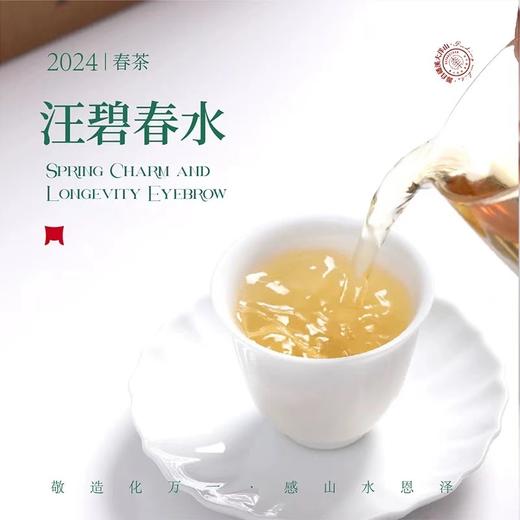 福鼎白茶丨一叶九鼎 2024年 磻溪大洋山 春韵寿眉 一级寿眉500g 商品图3