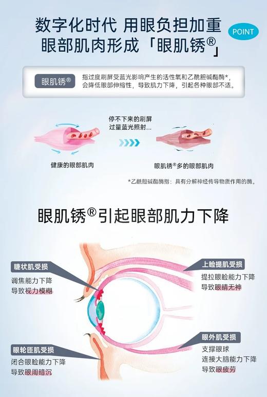 POLA明眸护眼丸 商品图3