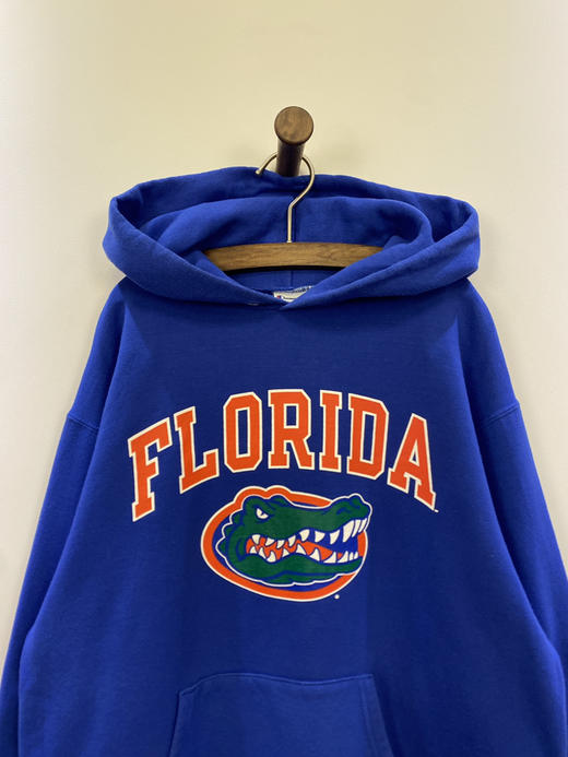 Champion 冠军 连帽卫衣_HDS(M) 商品图0