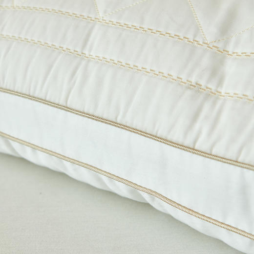 【春上新】10楼 安睡宝 双面复合蚕丝枕48×74cm  吊牌价1198元/对 活动价299元/对 商品图3