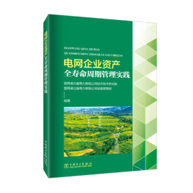 电网企业资产全寿命周期管理实践