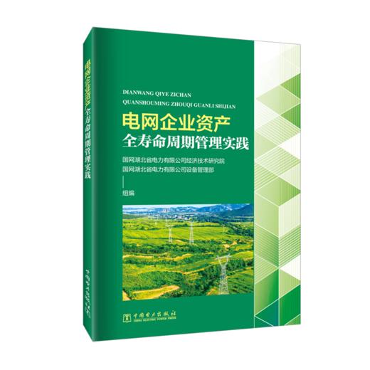 电网企业资产全寿命周期管理实践 商品图0