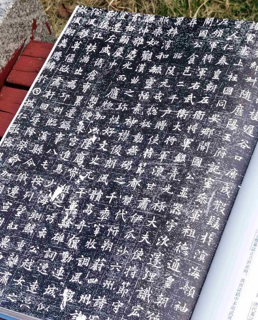 《石墨镌华：关中民俗艺术博物院收藏碑志集释》，8开，精装，何如月著，陕西师范大学出版社2023年12月一版一印，333页，定价498元，售价228元。 商品图8