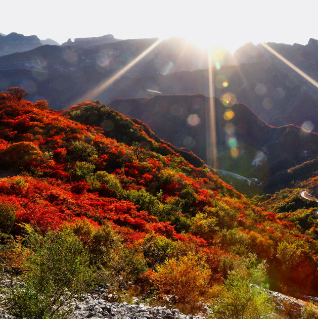 【国庆不加价】坐标房山，近坡峰岭丨大巫小舍民宿