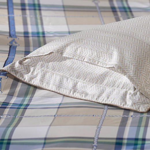 【纯棉】富安娜（FUANNA）床上被单被套纯棉套件中性格子床单四件套/玛格利亚 2.0*2.3  XHR 商品图3