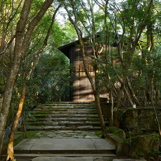 【日本】京都+大阪+奈良 5天4晚 沉浸在关西三古都的高雅氛围之中（2-10人小团·一家一团） 商品图6