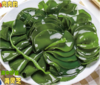 海宴壹品0添加0脂海菜系列[鞭炮笋，龙须菜，海灵芝][深海采摘食材]可凉拌热炒火锅家中常备宴请好礼相送 商品缩略图4