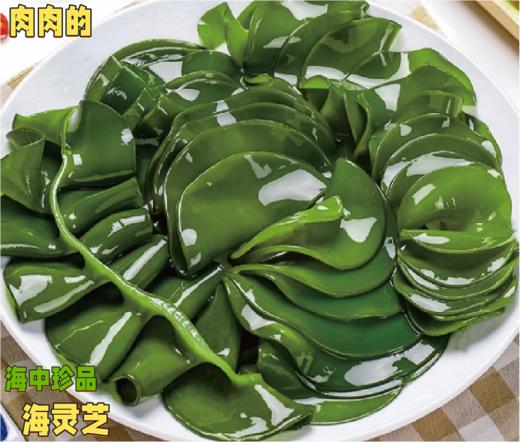 海宴壹品0添加0脂海菜系列[鞭炮笋，龙须菜，海灵芝][深海采摘食材]可凉拌热炒火锅家中常备宴请好礼相送 商品图4