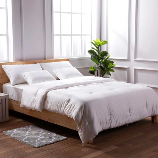 【远梦】植选大豆抗菌冬被 商品图3