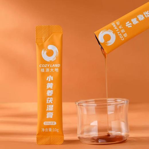 小黄姜茯湿膏 30袋 植萃 商品图3