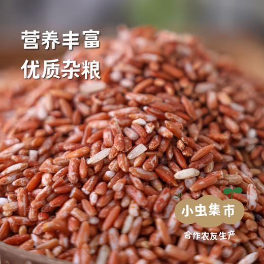 【2025秋收新米】生态小麻红米 500g/袋 | 合作农友生产，产自贵州黎平洋洞村，生产者:杨邦荣 &【公平贸易农人定价】 商品图1