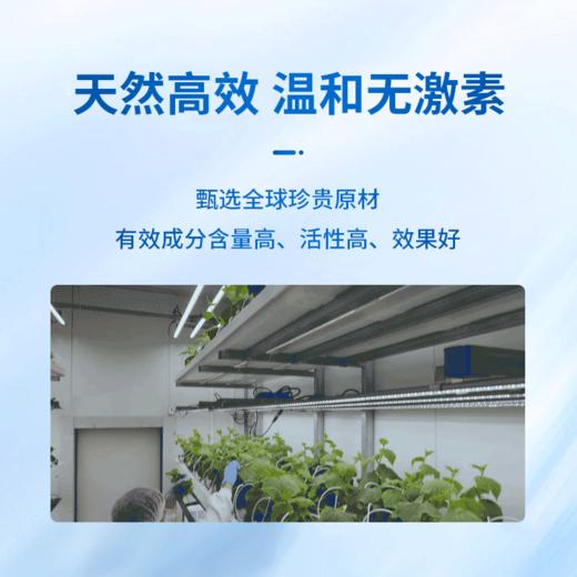 德国原装进口Bactrun郁金愈创木软膏 60g/支 商品图6