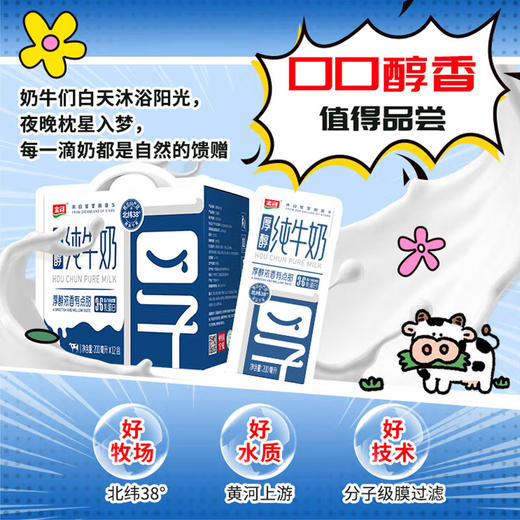 金河常温乳制品KBJ100-2414 仅限厦门市配送 商品图4