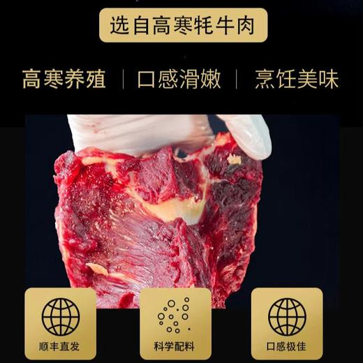 酱香牦牛腱子248g/盒 商品图1