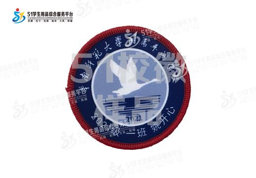 定制深圳市华南师范大学附属平湖学校校徽定做礼服贴章缝制包邮51 商品图1